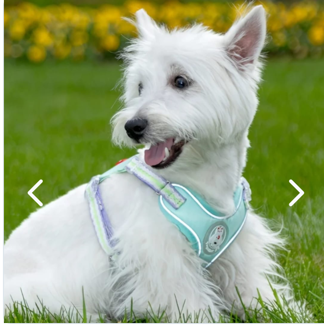Pechera para mascotas Bo