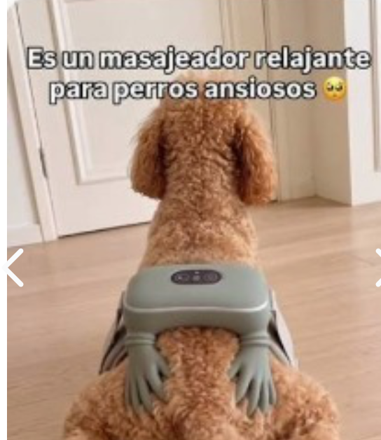 Masajeador para Mascotas A629