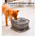 Fuente De Agua Para Mascotas XL Perro y Gato